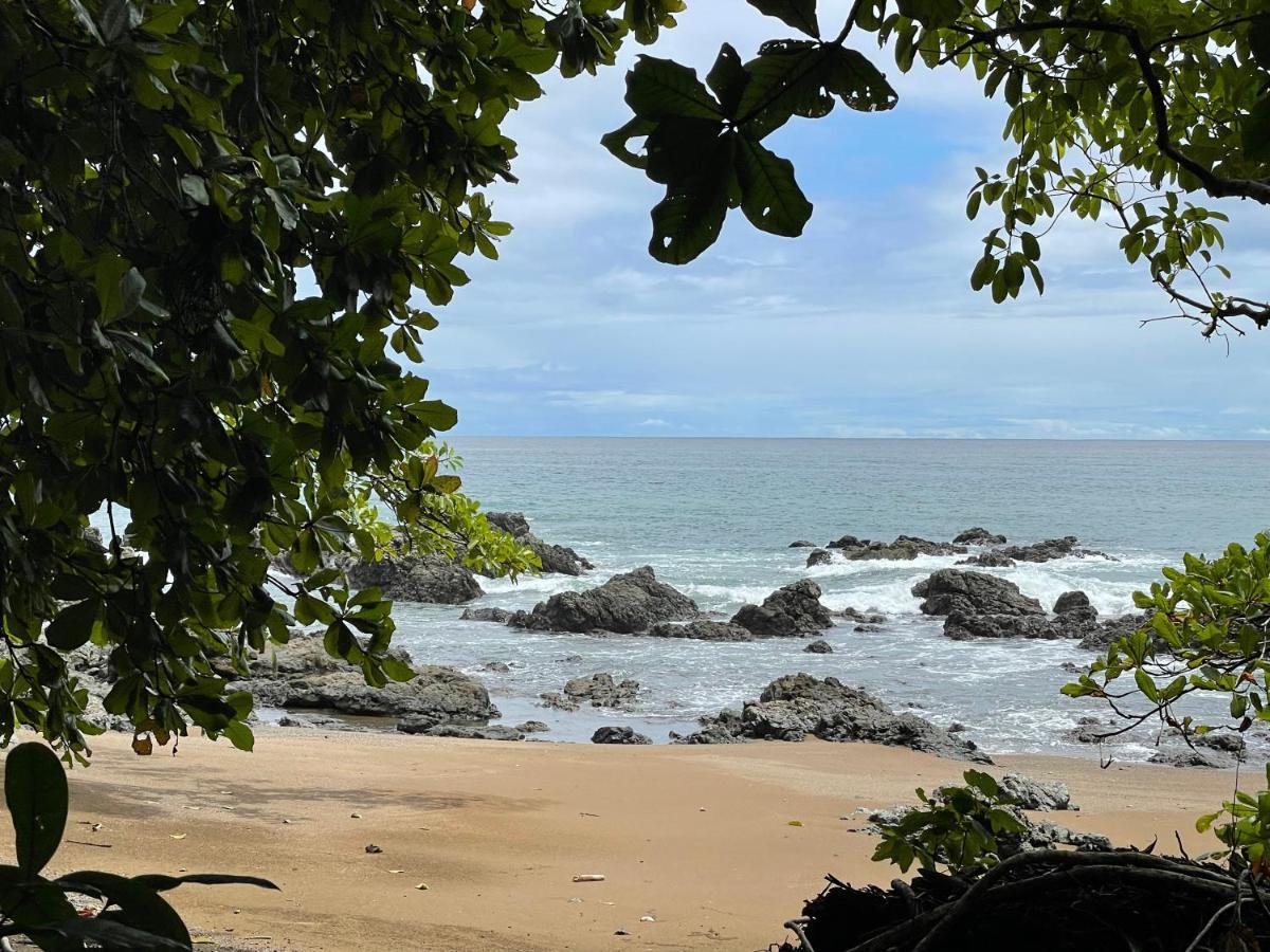 Hotel La Fiore De Bahia ウビタ エクステリア 写真