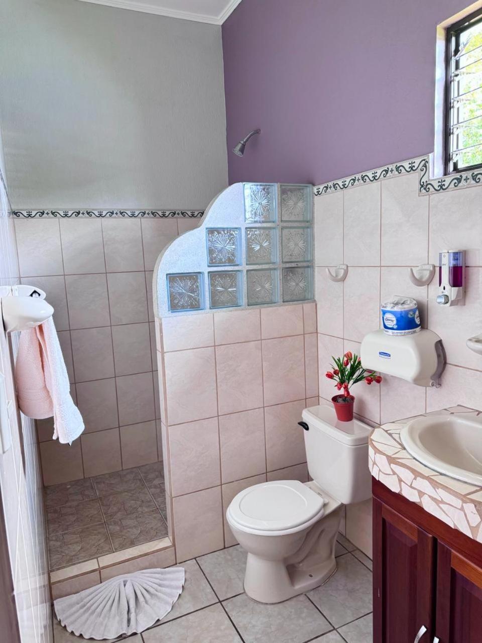 Hotel La Fiore De Bahia ウビタ エクステリア 写真
