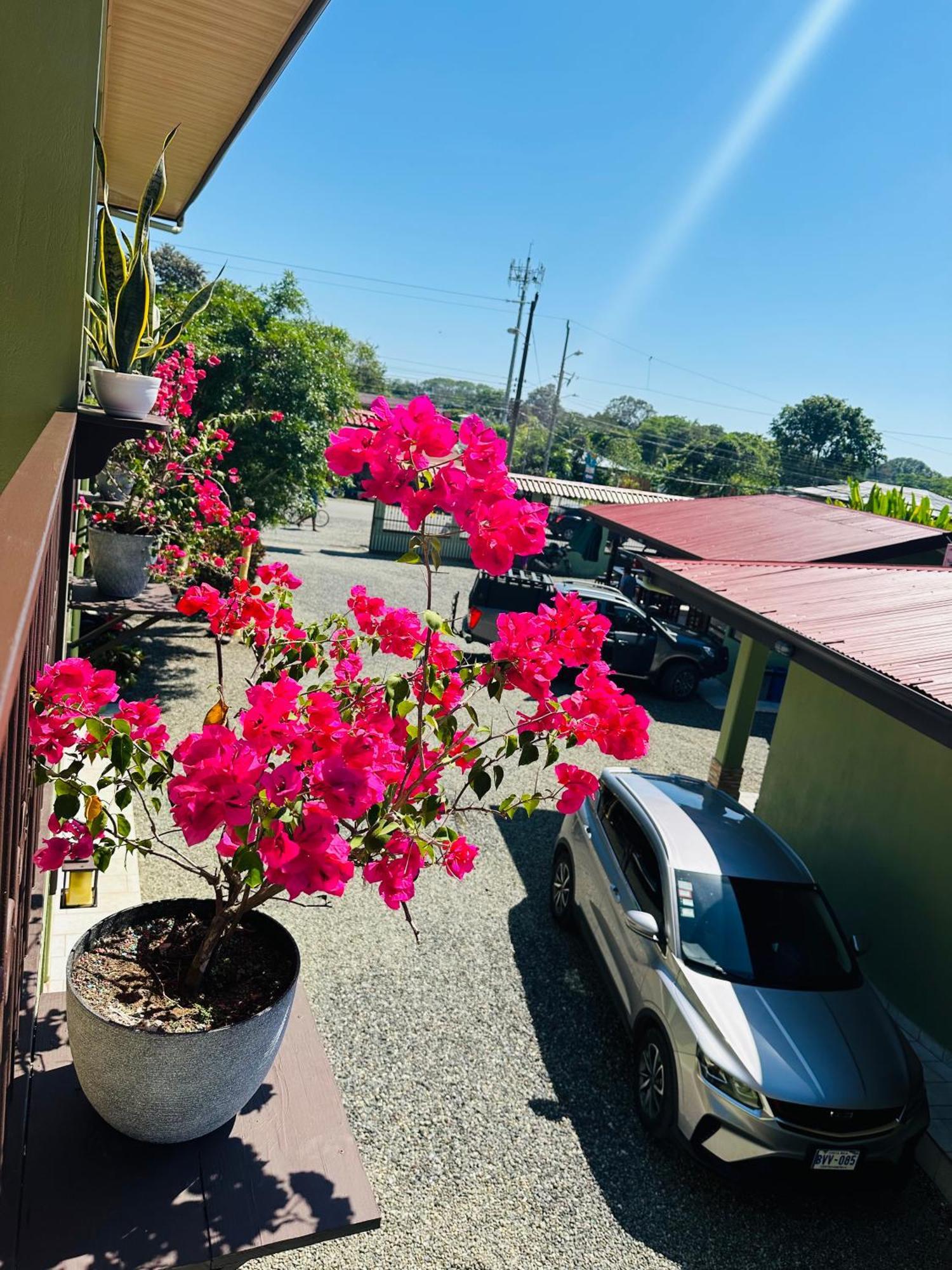 Hotel La Fiore De Bahia ウビタ エクステリア 写真