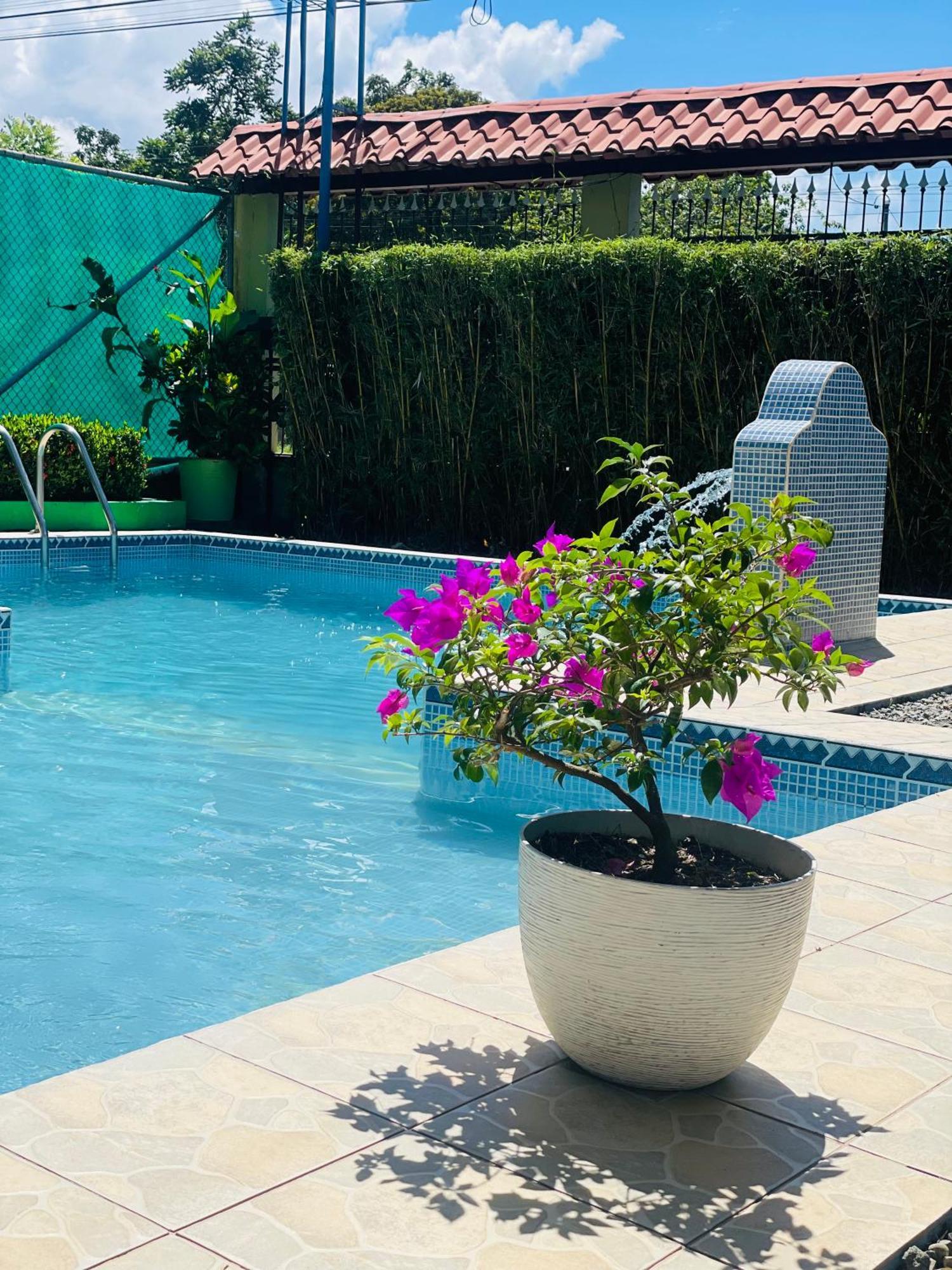 Hotel La Fiore De Bahia ウビタ エクステリア 写真