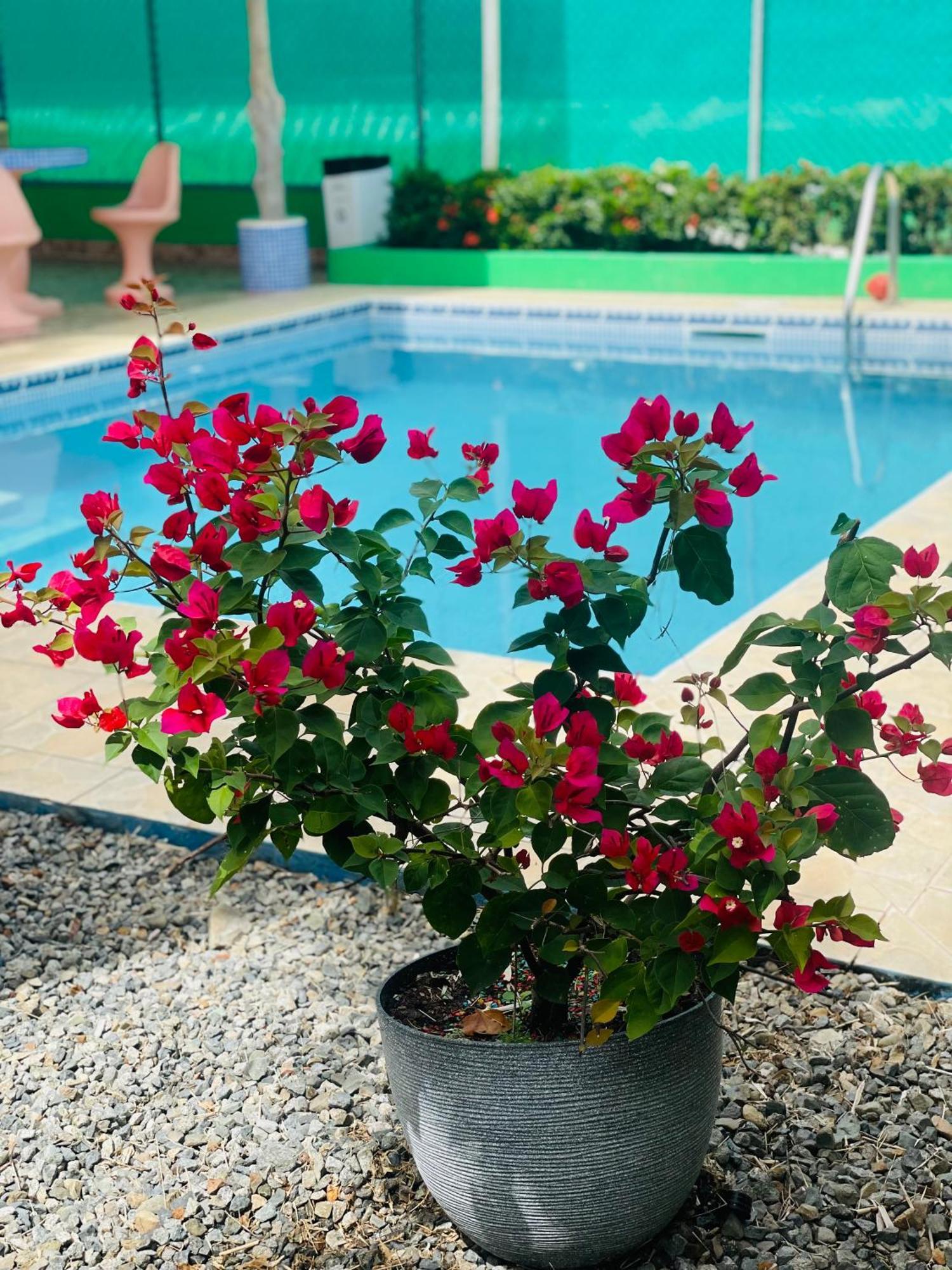 Hotel La Fiore De Bahia ウビタ エクステリア 写真