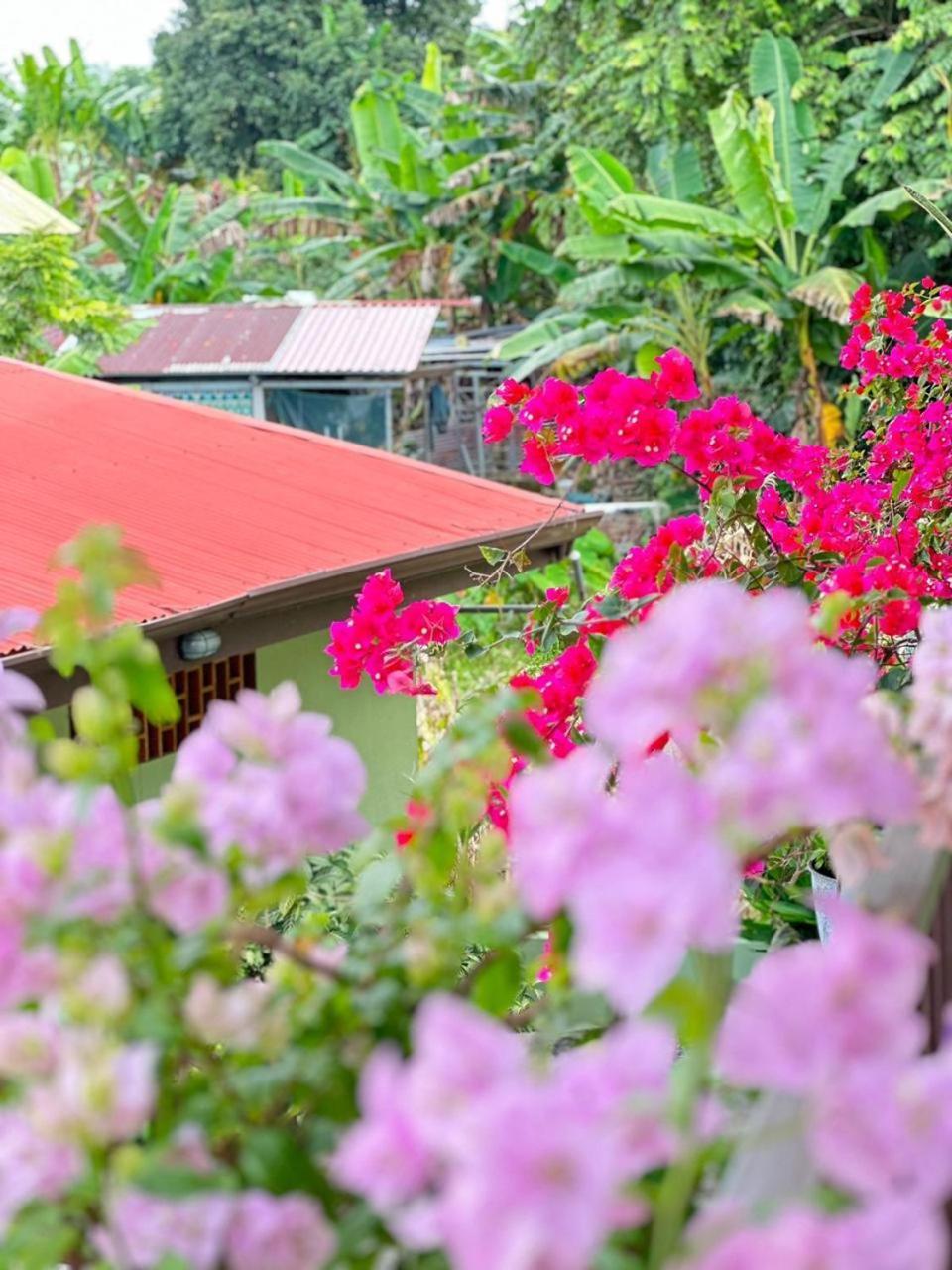 Hotel La Fiore De Bahia ウビタ エクステリア 写真